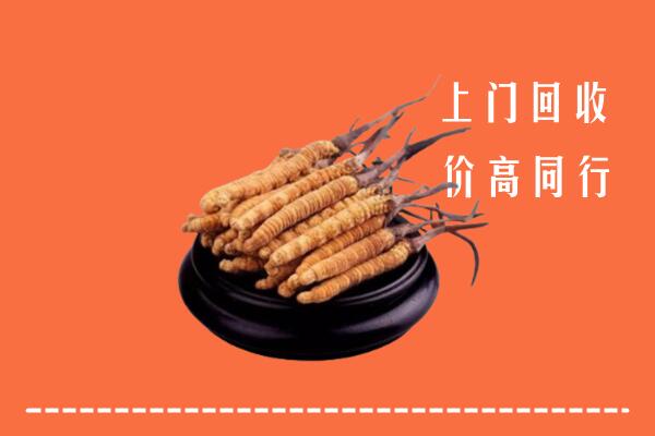 附近收购：晋城泽州县冬虫夏草回收多少钱每克