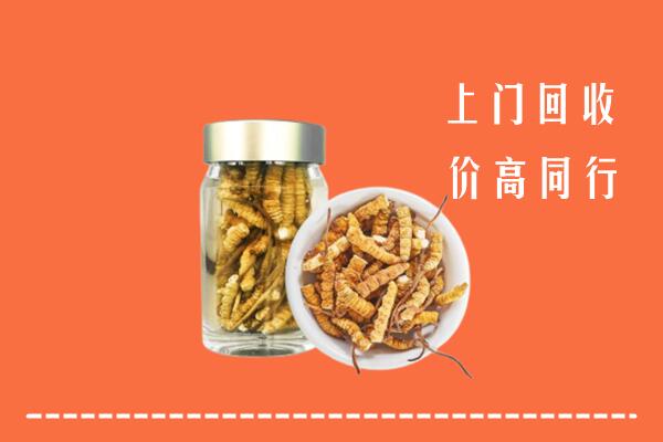 附近收购：晋城泽州县回收冬虫夏草